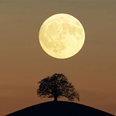 دانلود آهنگ چه شور و حالی داشتم چه خوش احوالی داشتم 